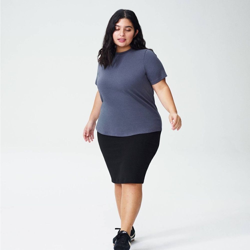 Universal Standard Petite Tee Rex Slate 2XL NWT IN PACKAGE